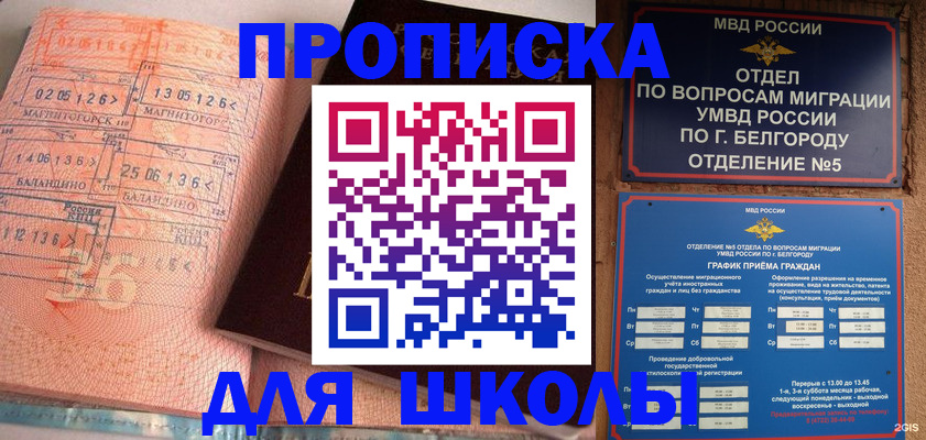 прописка иностранных граждан в Лесозаводске